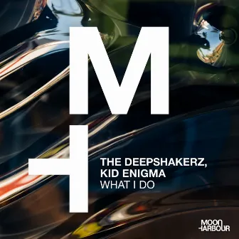 What I Do by The Deepshakerz