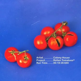 Rotten Tomatoes by Colony House