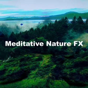 Meditative Nature FX by Rainforest Meditations