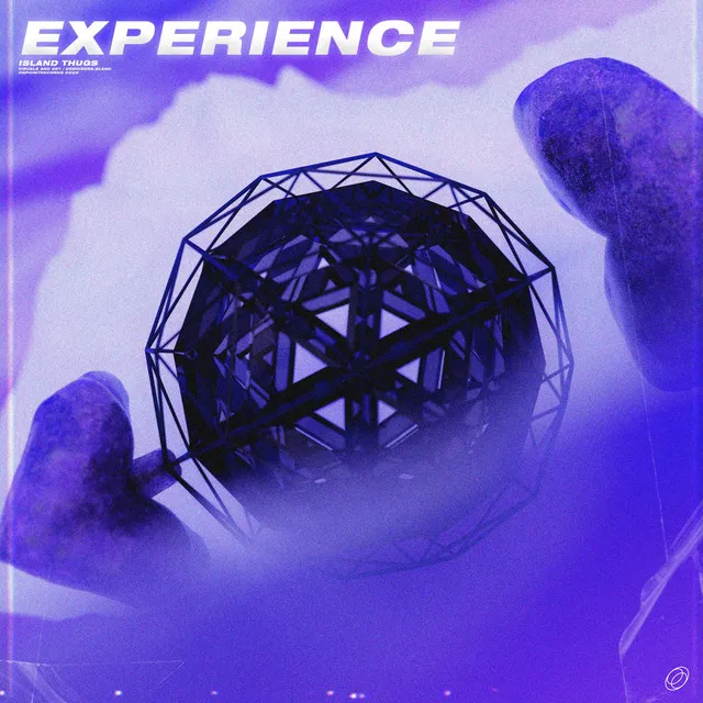 Experience