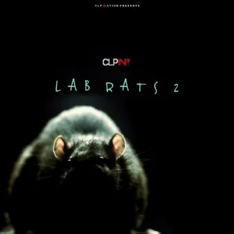 Lab Rats 2 by CLP Nation