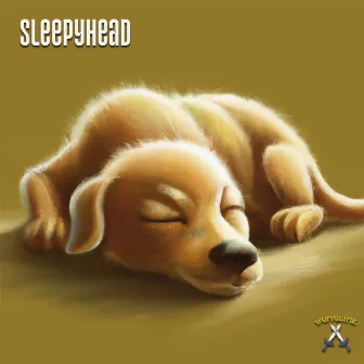 Sleepyhead by Unknown Artist