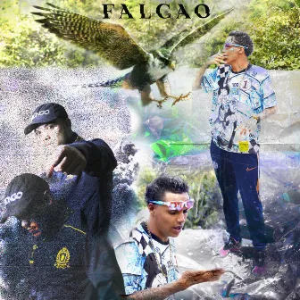 Falcão by Codeguina