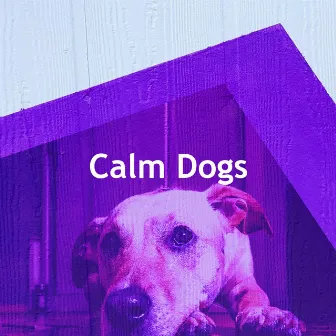 Calm Dogs by Dog Sounds