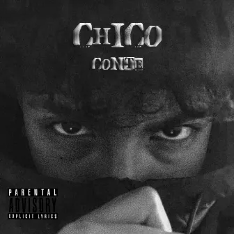 Chico by Conte