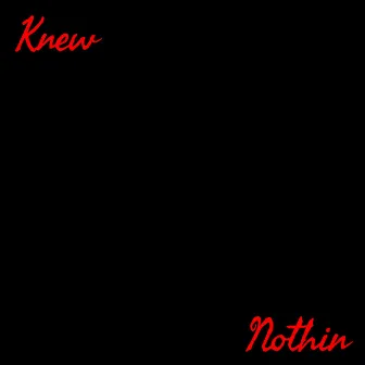 Knew Nothin by Damon Elbert