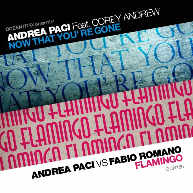 Now That Yoùre Gone - Andrea Paci Radio Edit