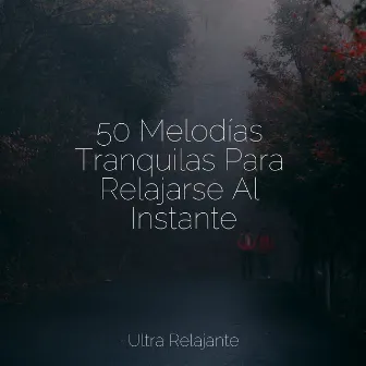 50 Melodías Tranquilas Para Relajarse Al Instante by Meditação Yoga Maestro