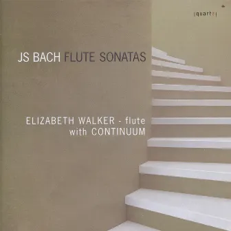 JS Bach: Flute Sonatas by Unknown Artist