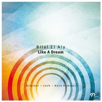 Like a Dream by Bilal El Aly