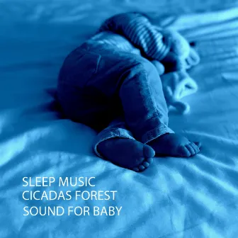 Sleep Music: Cicadas Forest Sound For Baby by Baby Lullabies Playlist