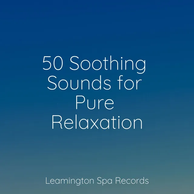 Music for Meditation and Relaxation