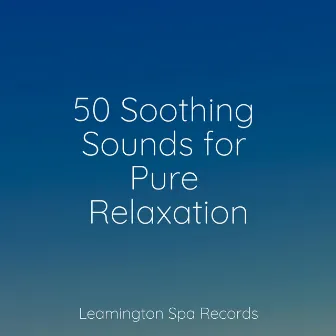 50 Soothing Sounds for Pure Relaxation by Rain Sounds Rain