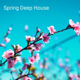 Spring Deep House by Unknown Artist