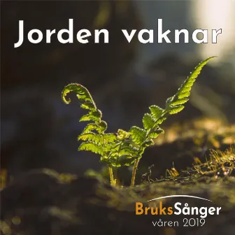 Jorden vaknar by Brukssånger