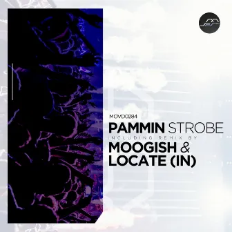 Strobe by Moogish