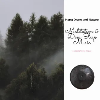 Meditation & Deep Sleep Music (Hang Drum and Nature) by Unknown Artist