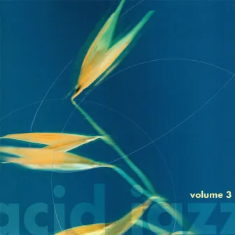 Acid Jazz, Vol. 3 by Jacqueline Santillan