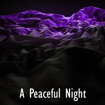 A Peaceful Night by Night Warmers