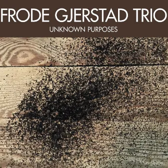 Unknown Purposes by Frode Gjerstad Trio