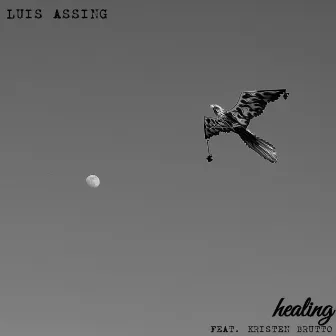 Healing by Luis Assing