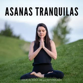 Asanas Tranquilas: Viaje Al Yoga De La Naturaleza by Yoga del mono