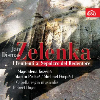 Zelenka: I penitenti al sepolcro del redentore by Robert Hugo