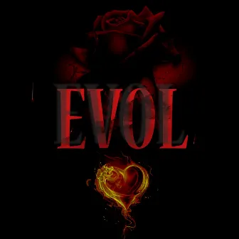 EVOL by Ynot