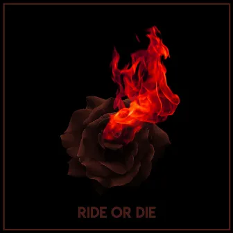 Ride or Die by Young AYP