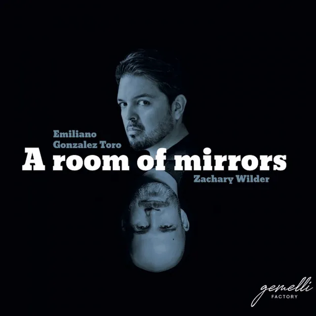 A Room of Mirrors