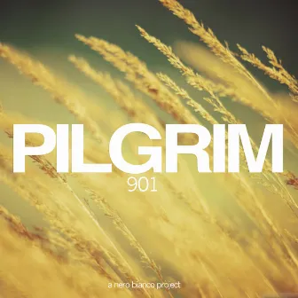 901 by Pilgrim