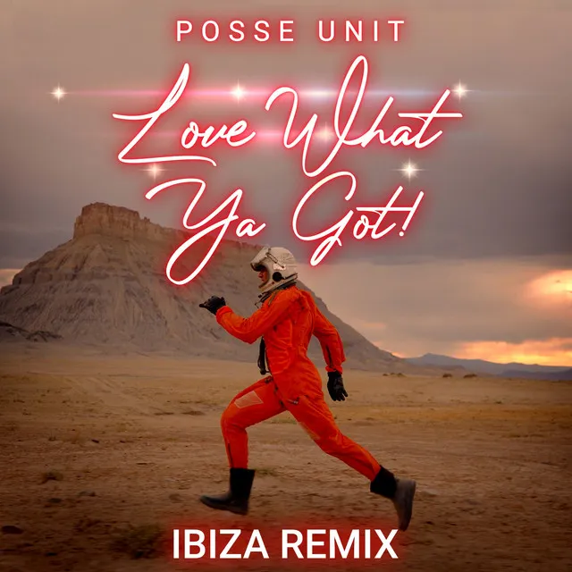 Love What Ya Got - Ibiza Remix