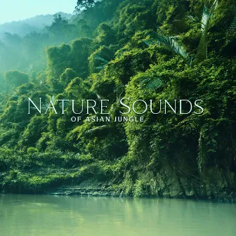 Nature Sounds of Asian Jungle by Awesome Nature Sounds Ensemble