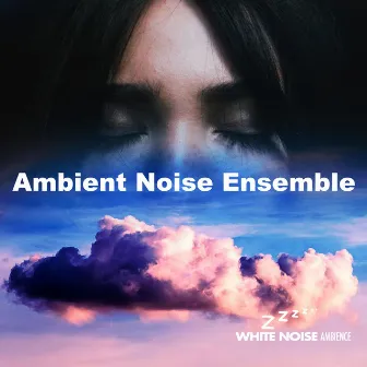 Ambient Noise Ensemble by Unknown Artist