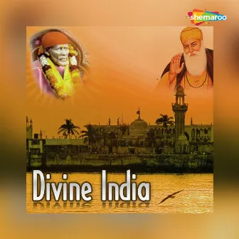 Divine India by Nadeem Khan