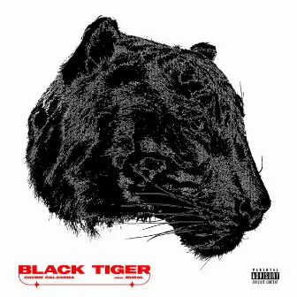 Black Tiger by Davide Calandra