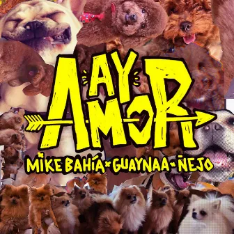 Ay Amor by Guaynaa