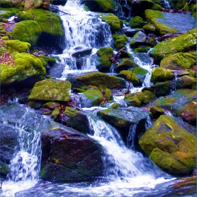 Overflow Stream Down the Gravel Driveway