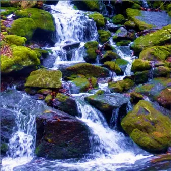 Peaceful Dream Stream by Mindfulness Oefeningen