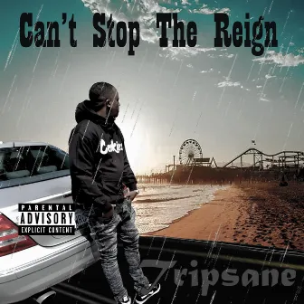 Can't Stop the Reign by Tripsane