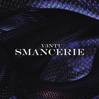 SMANCERIE by V3NTU