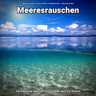 Meeresrauschen zur Erholung und zum Einschlafen auch für Katzen by Meeresrauschen in bester Qualität