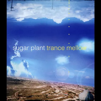 Trance mellow by sugar plant