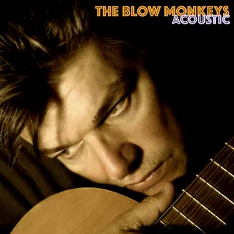 Acoustic by The Blow Monkeys