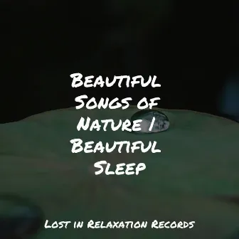 Beautiful Songs of Nature | Beautiful Sleep by Nursery Rhymes Club