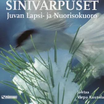 Sinivarpuset by Sinivarpuset