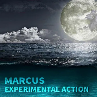 Experimental Action by Marcus