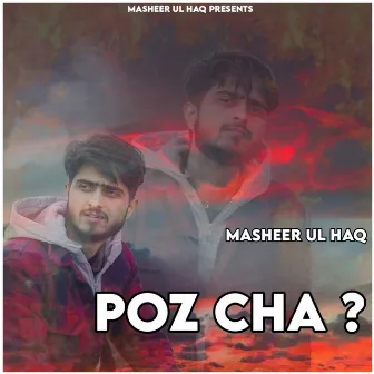 Poz Cha by Masheer Ul Haq