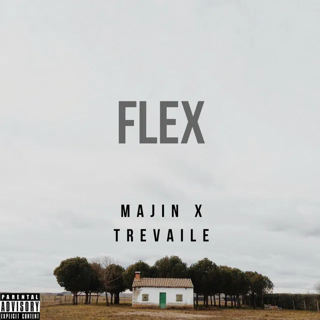 Flex