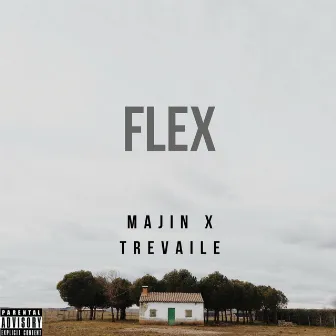 Flex by MajinNino